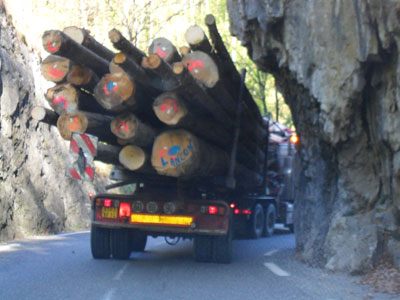 Big log truck on narrow winding road