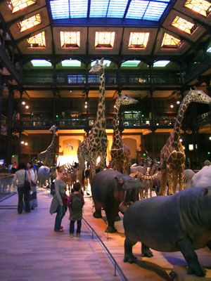 <Photo of the Natural History Museum of Paris. Copyright LeFrancoPhoney France, based in St Jean de Sixt>
