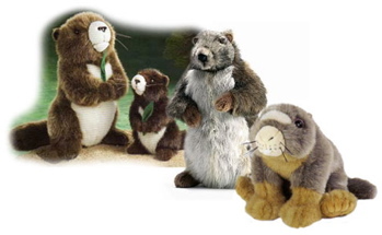 Plush marmot soft toys