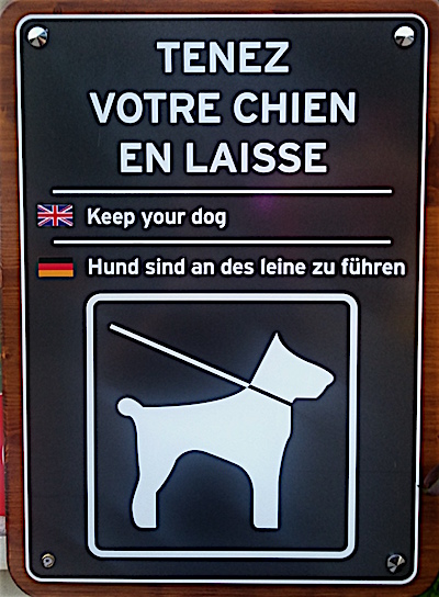 Keep your dog